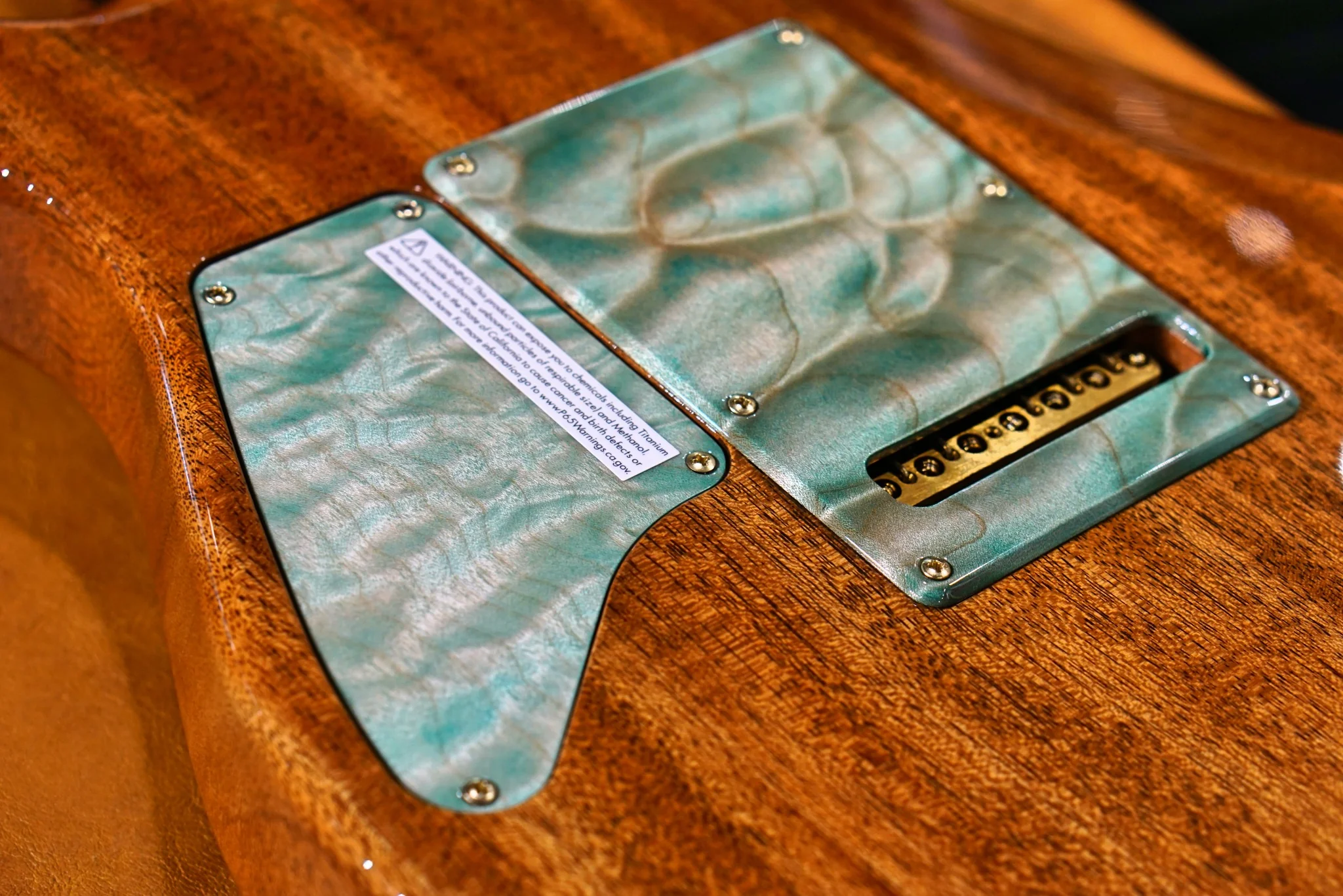 ESP Exhibition Limited 2020 #04.  SNAPPER-CTM-7 - Image 16