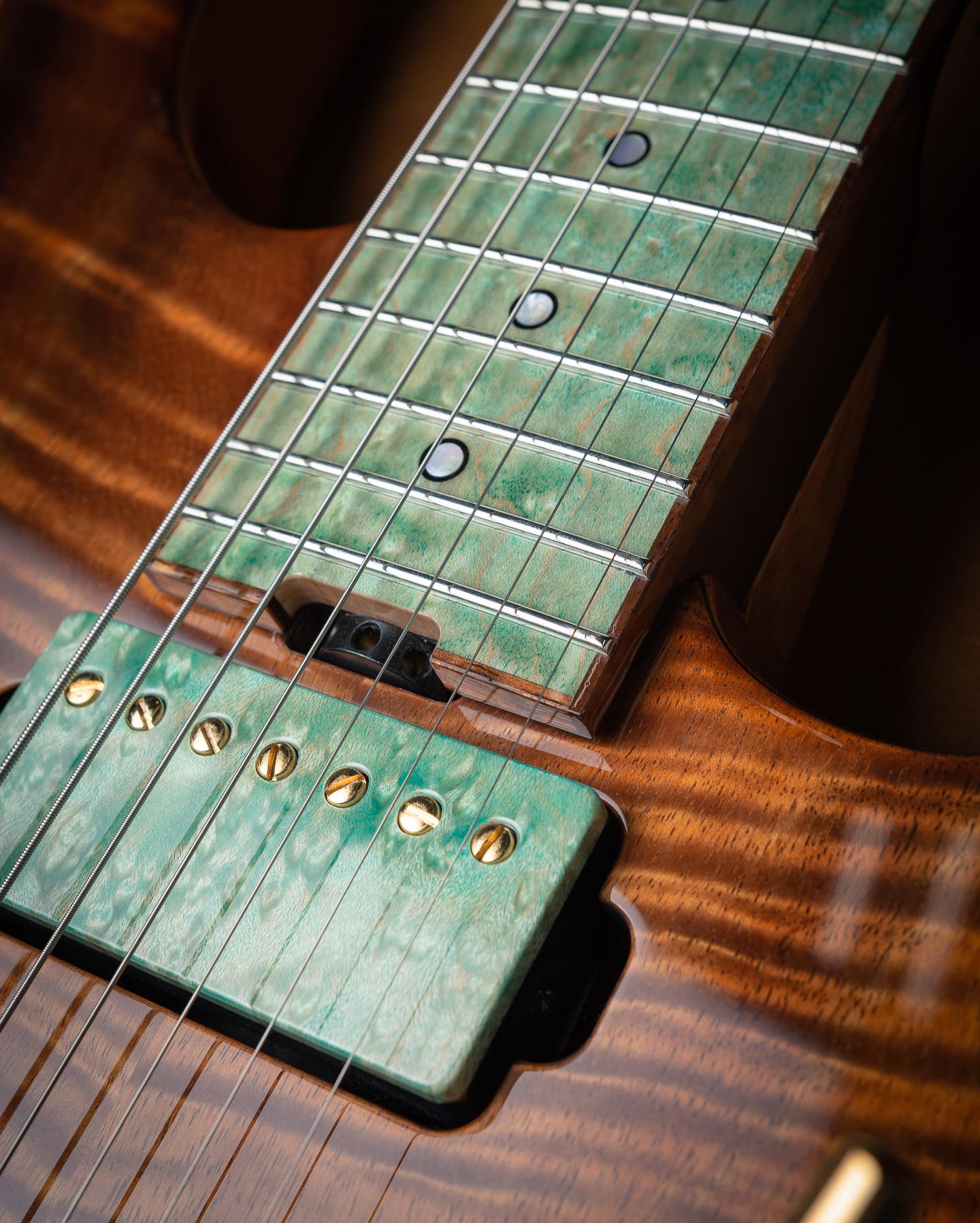 ESP Exhibition Limited 2020 #04.  SNAPPER-CTM-7 - Image 22