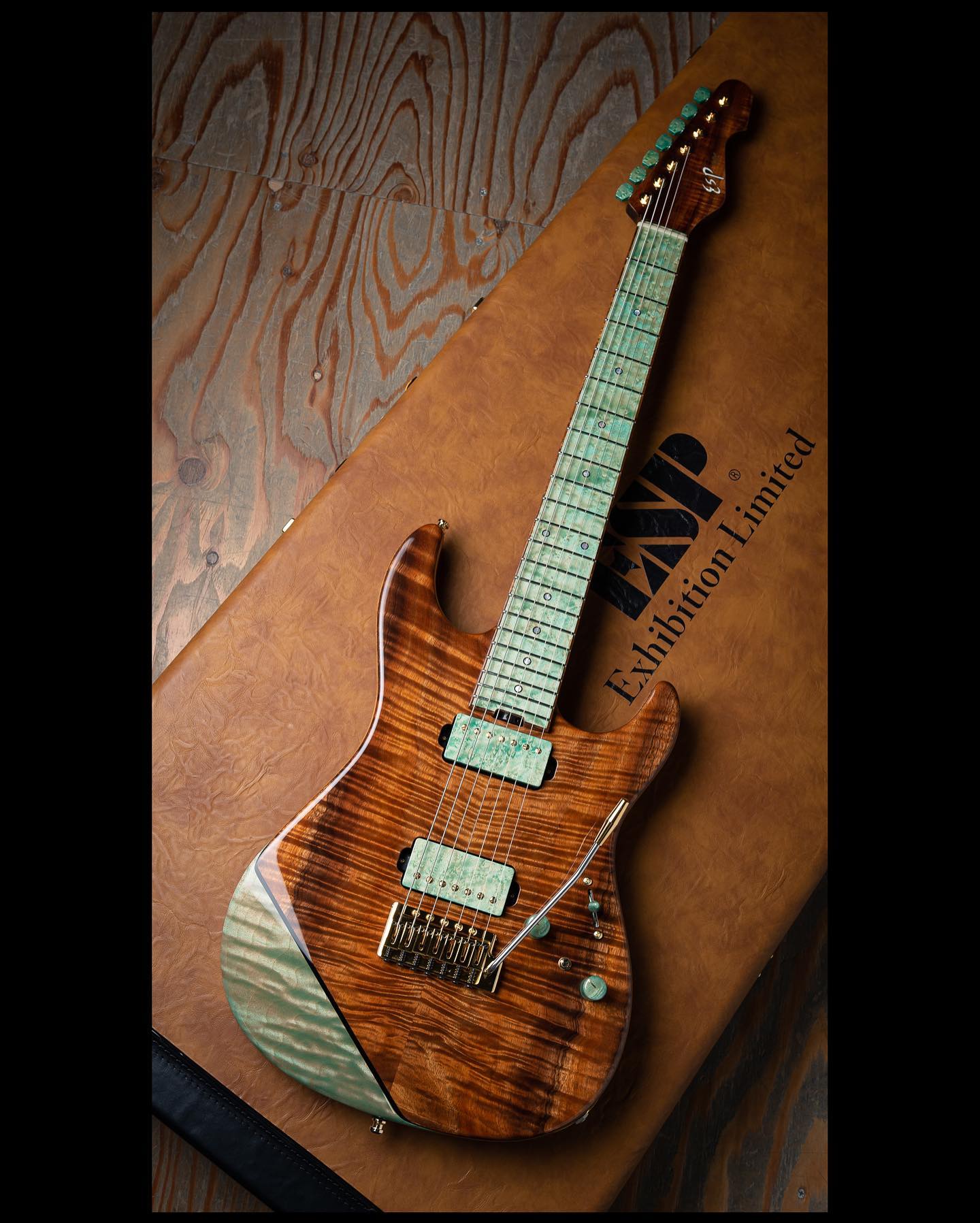 ESP Exhibition Limited 2020 #04.  SNAPPER-CTM-7 - Image 23