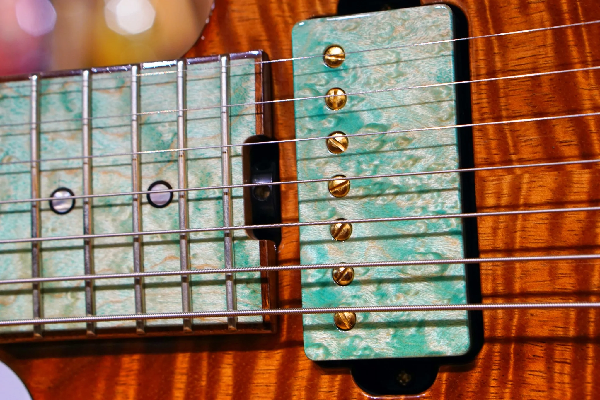 ESP Exhibition Limited 2020 #04.  SNAPPER-CTM-7 - Image 7