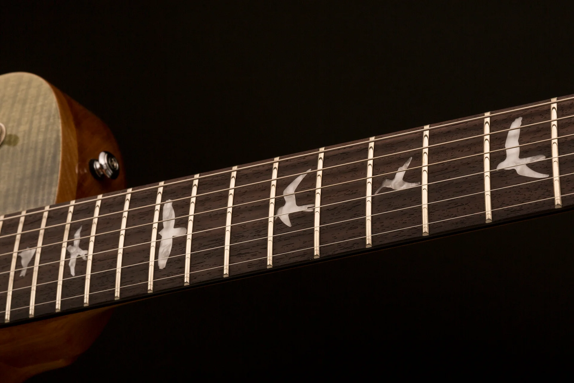 PRS SE Zach myers trampas green - Image 17